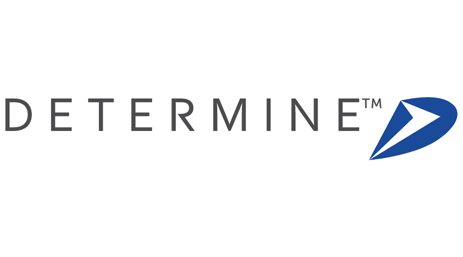determine-vector-logo